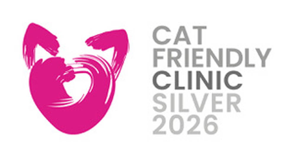 Cat friendly clinic - silver | Sutton Bridge Vets
