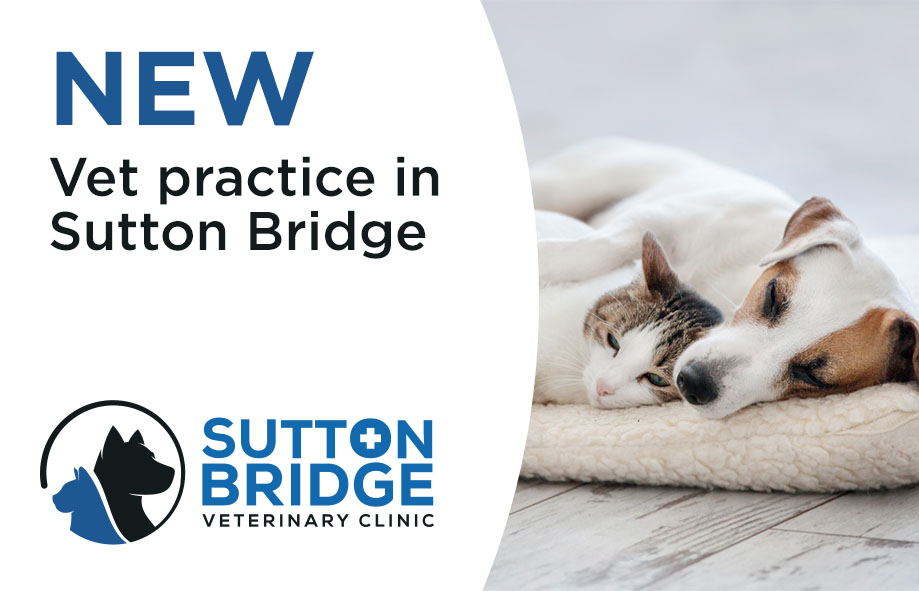 NEW Sutton Bridge Vet Practice | Sutton Bridge Vets | Opening Soon