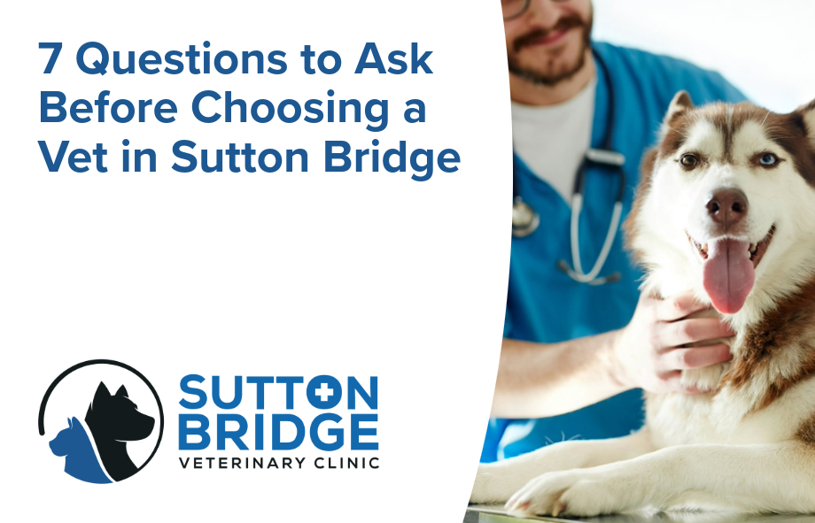 7 questions to ask before choosing a vet in Sutton Bridge