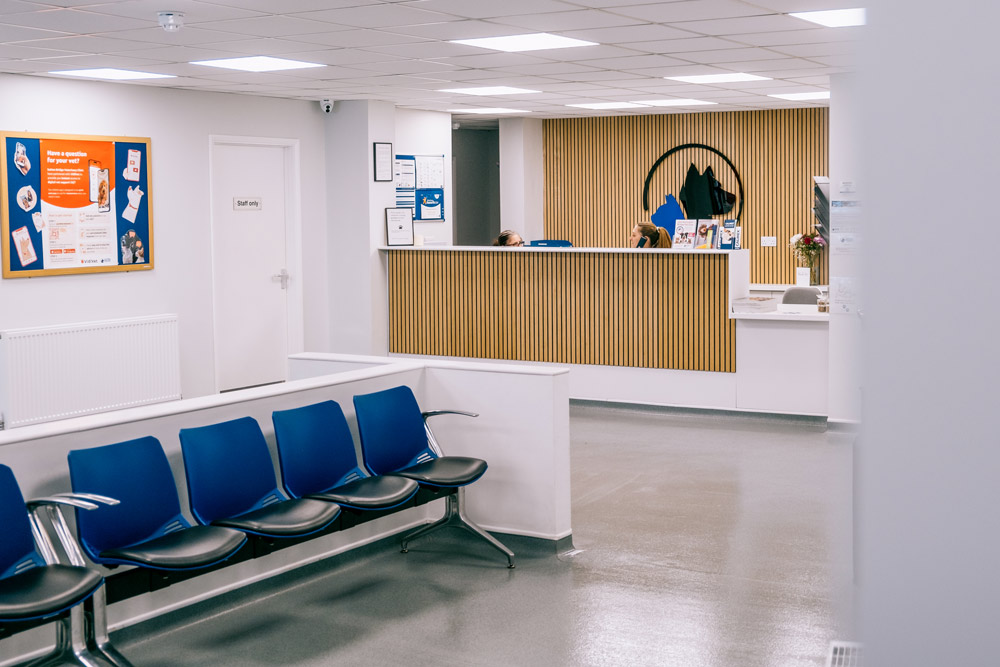 Sutton Bridge Vets practice inside