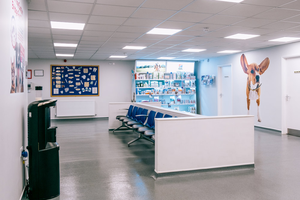 Sutton Bridge Vets practice inside