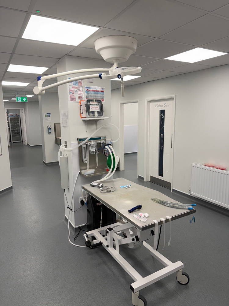 why-choose-sutton-bridge-vets-in-spalding-lincolnshire-facilities-1