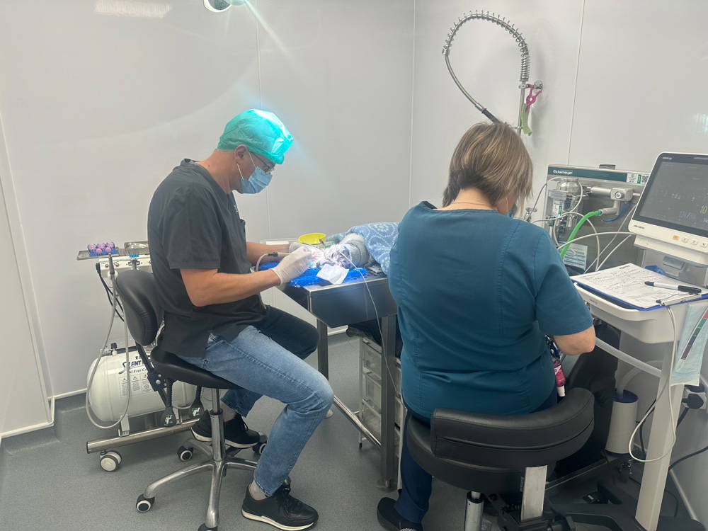 why-choose-sutton-bridge-vets-in-spalding-lincolnshire-facilities-2