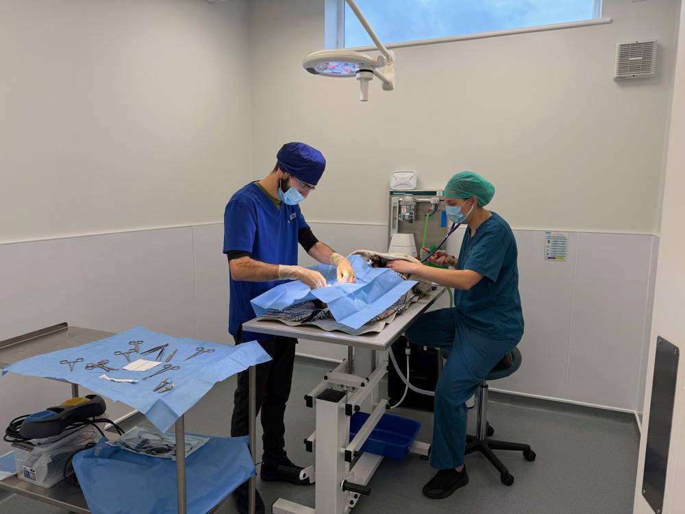 why-choose-sutton-bridge-vets-in-spalding-lincolnshire-facilities-5