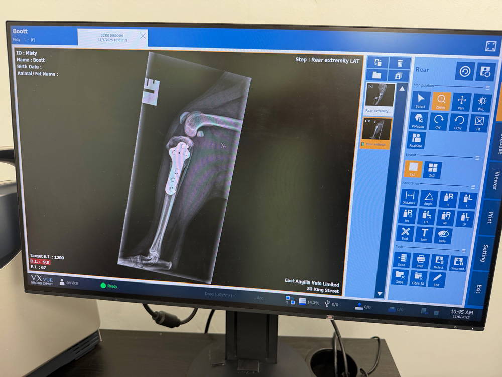 why-choose-sutton-bridge-vets-in-spalding-lincolnshire-facilities-6