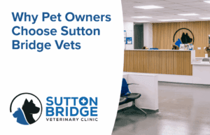 Why Pet Owners Choose Sutton Bridge Vets
