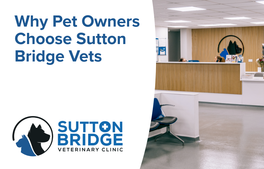 Why Pet Owners Choose Sutton Bridge Vets