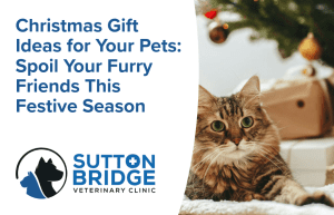 Christmas gift ideas for your pets | Sutton Bridge Vets